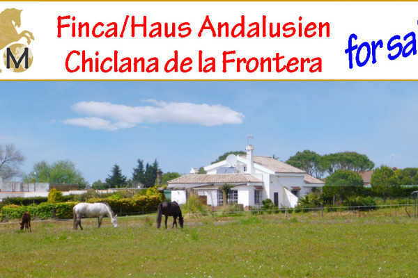 Haus, Ferienhaus, Villa, Reitimmobilie, Pferdehaltung, grosses Grundstück, nahe Strand, Chiclana, Cadiz, Costa de la Luz, Andalusien, zu verkaufen
