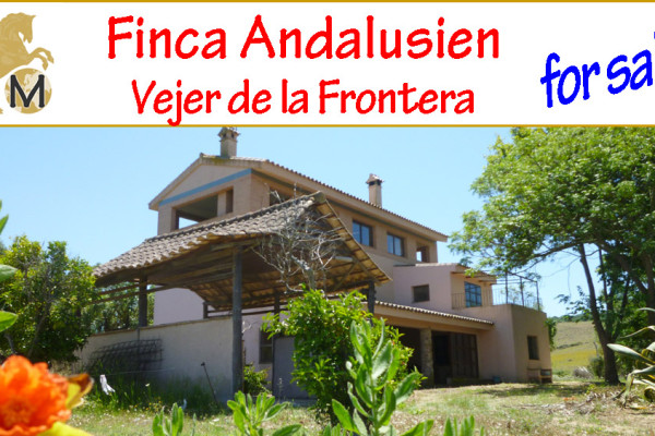 Immobilien, Landhaus, Reitimmobilie, Finca, Pferdehaltung, Haus, Vejer, Los Ambrosio, Costa de la Luz, Cadiz, Andalusien, verkaufen