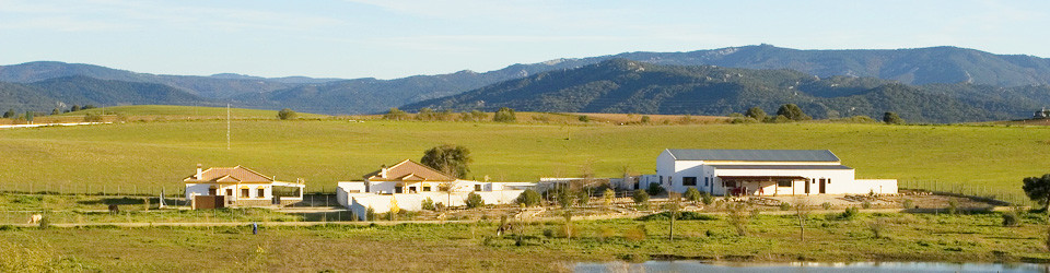 unglaubliches Schnäppchenangebot: 2 Häuser mit je 3 schlafzimmern, Pool, Halle auf 10.000 qm nicht weit von Arcos zu verkaufen