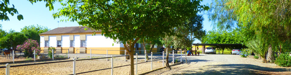 Reiterhof, Reitstall, Finca, Reitimmobilie, Jerez de la Frontera, Cadiz, Andalusien zu verkaufen