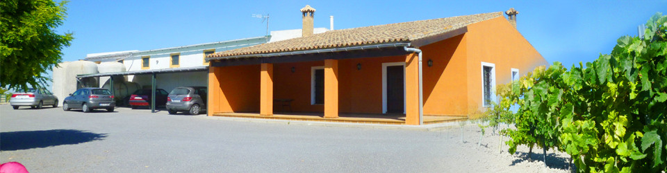 suche Olivenfarm, Olivenplantage, Weinberg, Jerez de la Frontera, Cadiz, Andalusien, zu verkaufen, zum kaufen