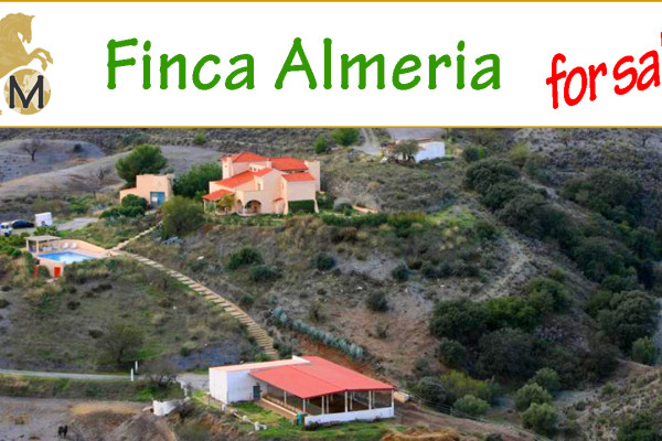 real estate,southern,spain,andalusia,velez rubio,country,horse,equestrian,property,finca,estate,ranch,horse farm,farmhouse,horsestable,riding school,working stables,house,b&b,hotel,inland,for sale