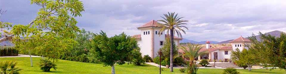 Hacienda_Cortijo_Boutique_Hotel_Landsitz_Reitimmobilie_Reitanlage_Gestüt_zu_kaufen_verkaufen