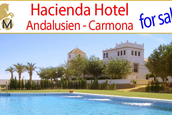 _looking_for_Real_Estate_country_horse_equestrian_property_estate_hacienda_cortijo_finca_farmhouse_events_hotel_turism_rural_inland_Andalusia_Sevilla_Carmona_for_sale_to_buy