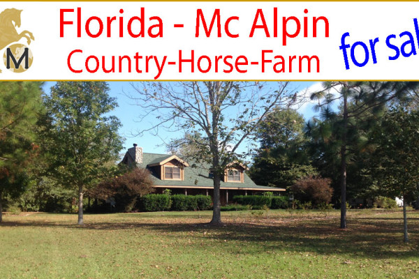 _suche_Immobilien_Landhaus_Reitimmobilie_Finca_Reiterhof_Reitstall_Ranch_Pferdefarm_McAlpin_Florida_USA_Amerika_zu_kaufen_verkaufen