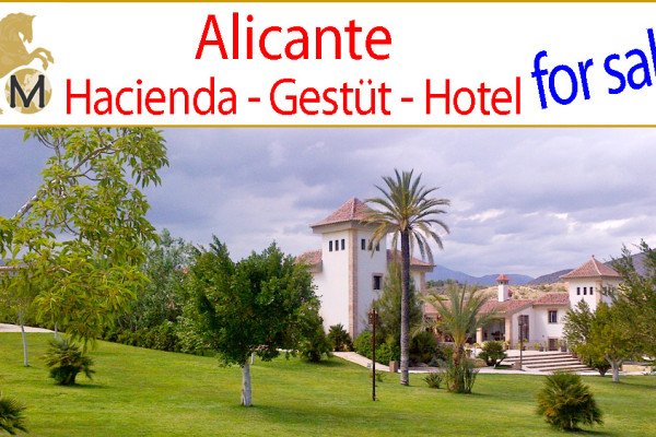 Costa_Blanca_Valencia_country_horse_equestrian_property_estate_hacienda_cortijo_stables_studfarm_events_boutique_hotel_for_sale_to_buy