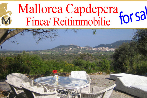 suche Finca zu kaufen auf Mallorca, nahe Capdepera