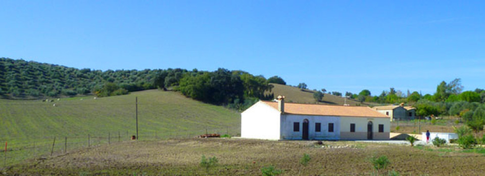 _looking_for_finca_country_holiday_house_home_Andalusia_Cadiz_inland_Villamartin_el_Bosque_Prado_del_Rey_for_sale