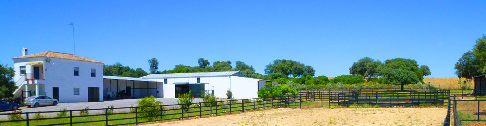 finca rustica, villa, haus, house, home, casa, casa rural, chalet, dorfhaus, stadthaus, townhouse, landhaus