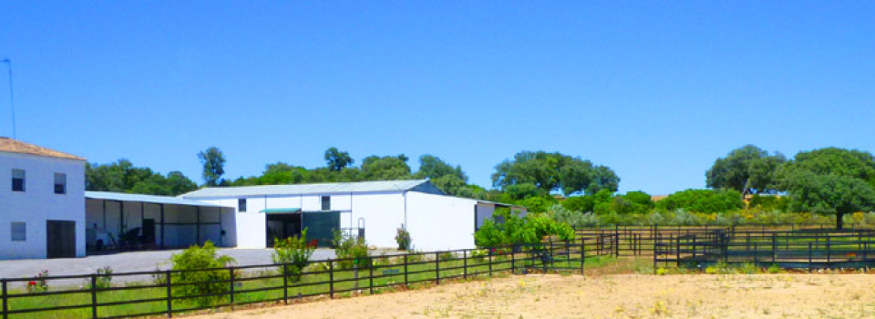 finca rustica, villa, haus, house, home, casa, casa rural, chalet, dorfhaus, stadthaus, townhouse, landhaus