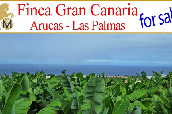 looking for equestrian property for sale Arucas Gran Canaria, villa with stables for sale arucas las palmas gran canaria,