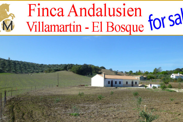 suche, finca, Reitimmobilie, Haus, mit, Land, Andalusien, Cadiz, Inland, Villamartin, El, Bosque, Prado, del, Rey, zu, kaufen, verkaufen