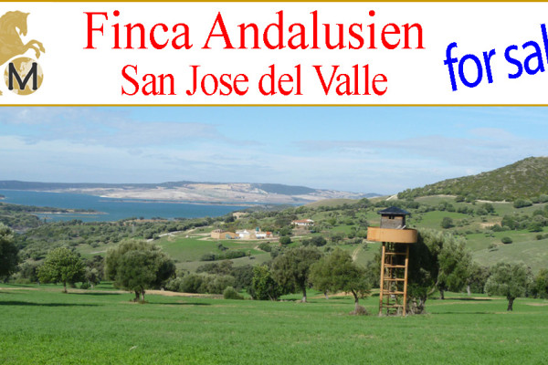_Inmobiliaria_Finca_rustica_casa_rural_de_campo_dehesa_ganaderia_vaqueriza_San_Jose_del_Valle_Jerez_Andalucia_compra_venta_vende