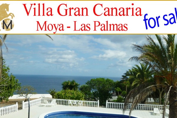 _suche_Immobilie_Landhaus_Reitimmobilie_Finca_Villa_Meerblick_Moya_Las_Palmas_Gran_Canaria_zu_kaufen_verkaufen
