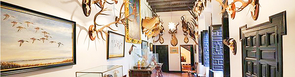 _Landsitz_mit_Jagd_zu_verkaufen_Andalusien_Sevilla_Huelva _suche_Dehesa_für_Rinderzucht_in_Andalusien_Sevilla_Huelva_zu_kaufen _Dehesa_mit_Palast_bei_Huelva_Aracena_Sevilla_in_Andalusien_zu_verkaufen