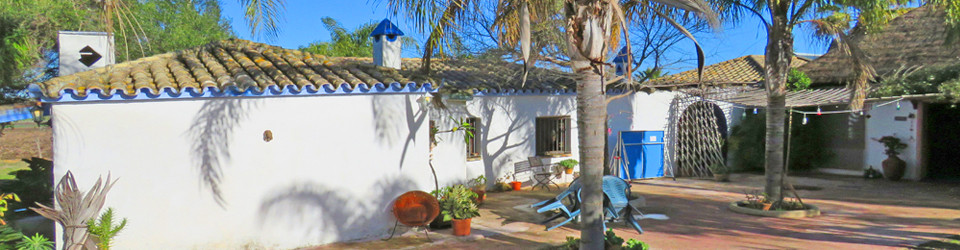 suche Finca für Pferdehaltung Jerez Cadiz, Finca Reitimmobilie zu verkaufen Jerez Cadiz Andalusien