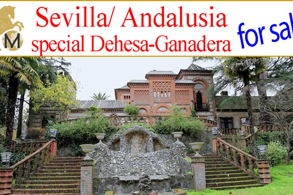 _Dehesa_mit_Palast_bei_Huelva_Aracena_Sevilla_in_Andalusien_zu_verkaufen