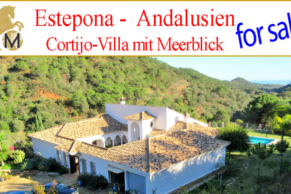 _looking_for_large_country_property_estate_luxury_homes_Finca_villa_Costa_del_Sol_Marbella_Estepona_Andalusia_to_buy_for_sale