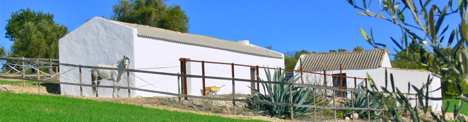 country horse property for sale in Arcos de la Frontera, Cadiz