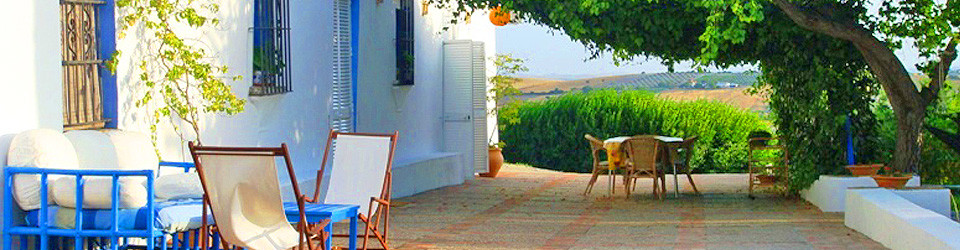 country property with rental units for sale, arcos de la frontera