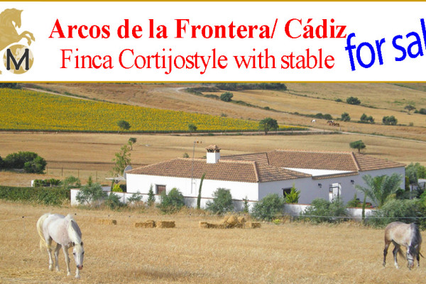 nice country property for horses Arcos de la Frontera, Cadiz for sale