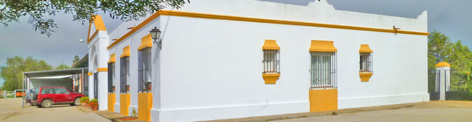 for sale country and horse property near Jerez, Cadiz