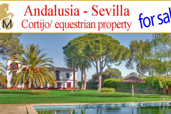looking for a large country property near Sevilla