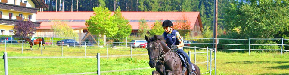 cuadra, hipica en venta, Salzburgo, Austria