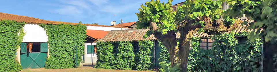 horseproperty for sale in Portugal