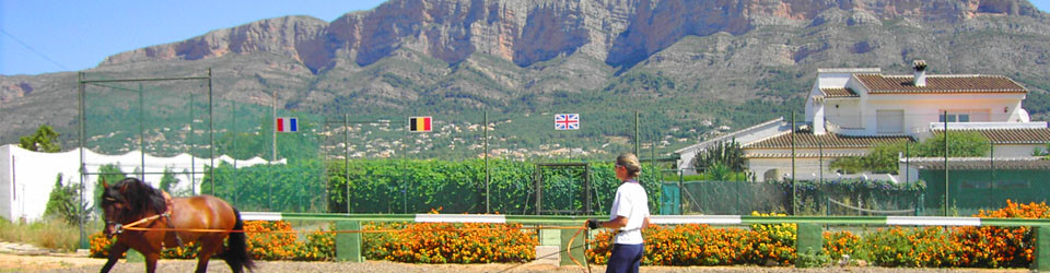 _suche_reitzentrum_reiterhof_reitimmobilie_finca_haus_mit_pferdestaellen_gestuet_hipica_spanien_javea_alicante_zu_kaufen_verkaufen