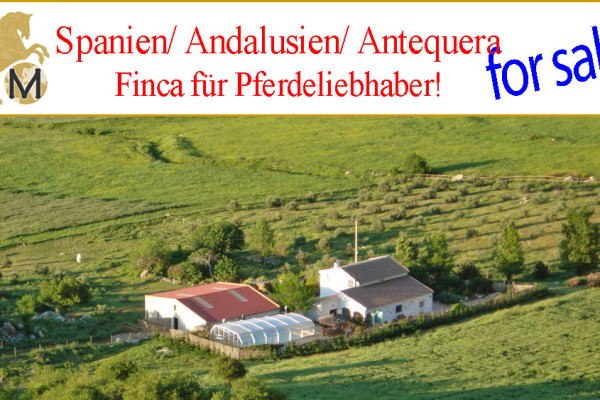 Horseproperty, finca near Antequera for sale
