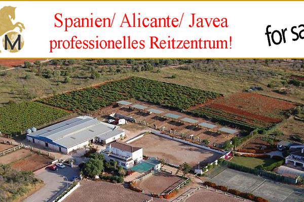 equestrian center for sale in Valencia, Alicante