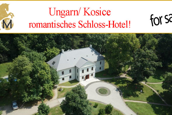 schloss, hotel, reitimmobilie, pferdestall, landhaus, landsitz, villa, ungarn, kosice, Mogyoros, brook, valley, zu, verkaufen