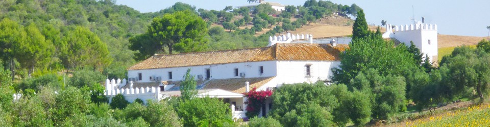 Traditional Andalusian Cortijo Hotel near Arcos de la Frontera, Cádiz, Spain, for sale