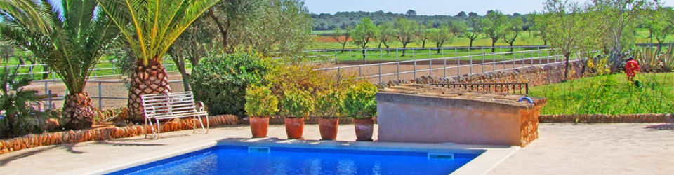 suche Finca auf Mallorca zu kaufen