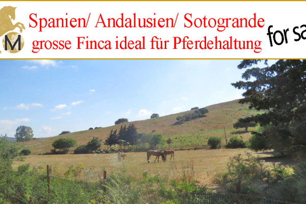 se-vende-finca-ecuestre-terreno-propiedad-sotogrande-polo-santa-maria-costa-del-sol-en-venta