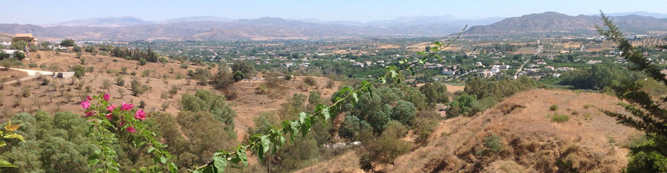 countryproperty in Alhaurin El Grande for sale