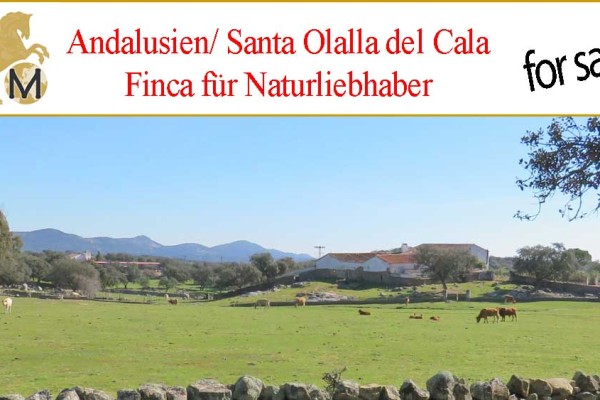 Dehesa mit Korkeichen bei Sevilla zu verkaufen