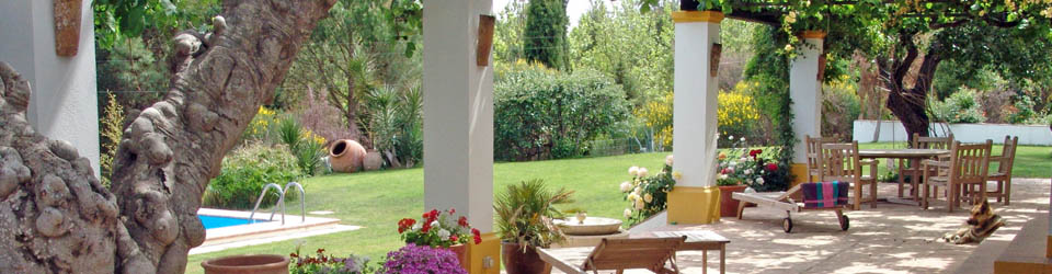 Landhaus mit Olivenbäumen bei Ronda zu verkaufen