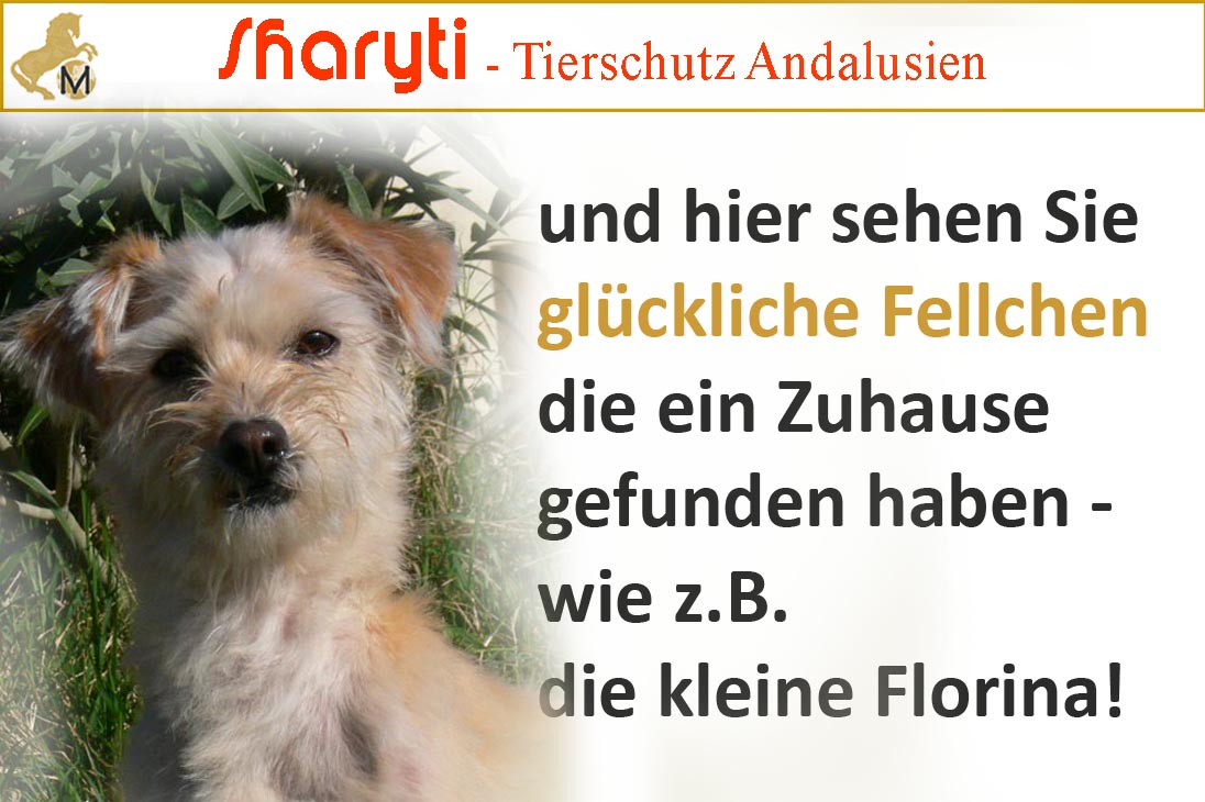 Glückliche Fellchen!