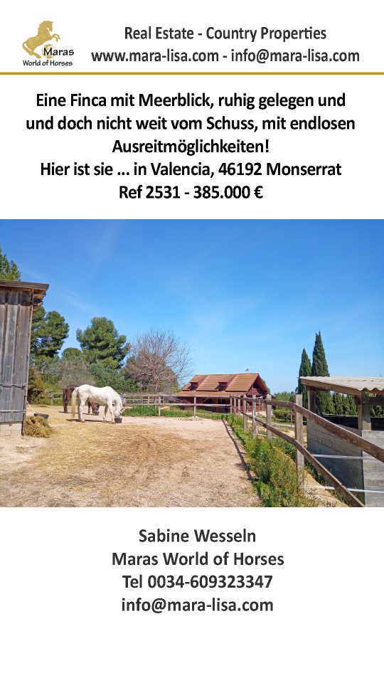 Ref2531 Spanien, Valencia, Monserrat – Finca mit Pferdestall zu verkaufen!