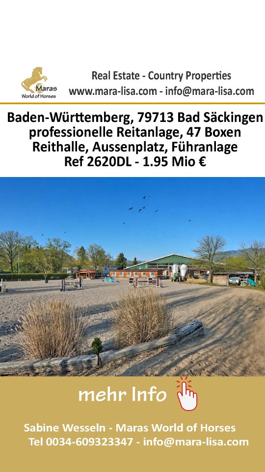 Professionelle Reitanlage in Baden Württemberg zu verkaufen!